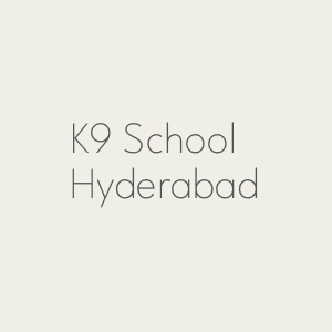 K9 School Hyderabad