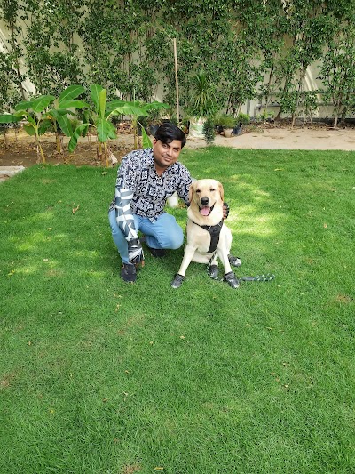 AK DOG GURU DOG TRAINER