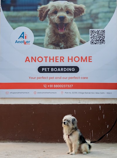 Another Home - Pet Boarding in Delhi NCR | Dog Day Care