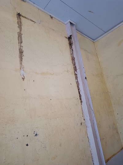 Best Pest Control services