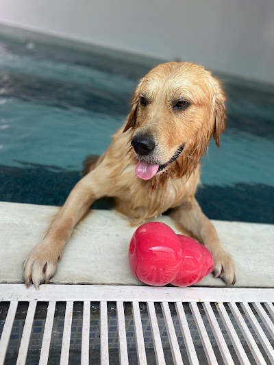 Canine Elite Boarding