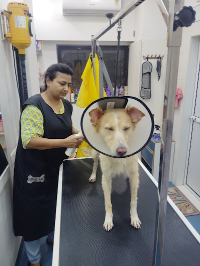 Curls & Tangles - Mumbai's Best Pet Grooming Lounge