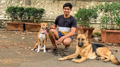 DALVI KENNEL - best dog trainer in Mumbai