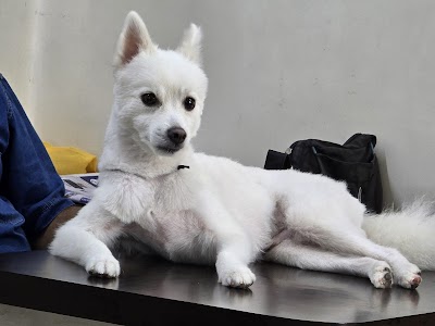 Perro's Pet Clinic & Diagnostics