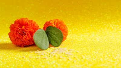 Shri Vishwanand Ayurveda Panchakarma Clinic