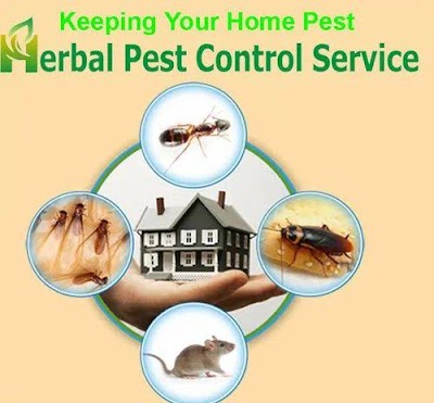 Herbal pest control & services