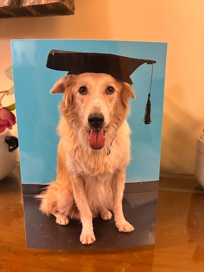 Mitali's Board & Train