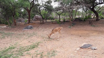 Mrugavani National Park