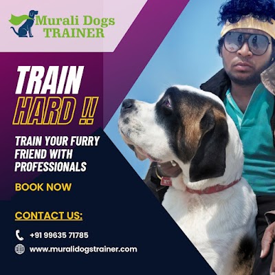 Premium Dogs Training Center