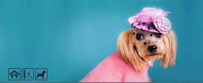 Oh My Dog Pet Salon & Spa