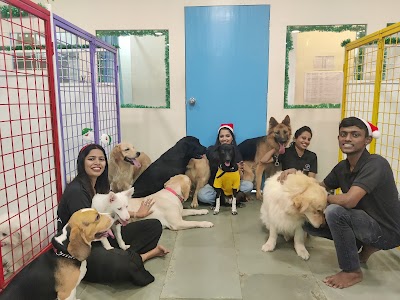 PETZANIA - DOG BOARDING, DAY CARE & AFTER CARE SERVICES