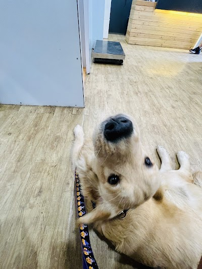 PetZone Mahalaxmi Veterinary Clinic