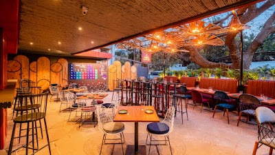 Poco Loco Tapas & Bar