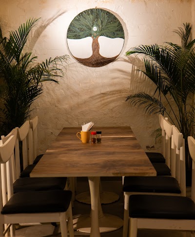 Rare Earth - The Vegan Café