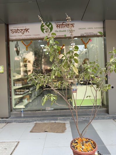 Satvik Food Store