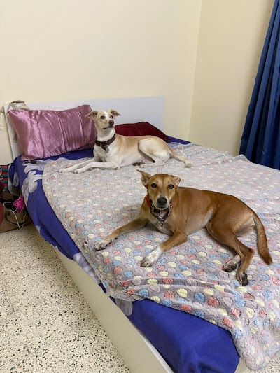 Tailwaggers Petboarding