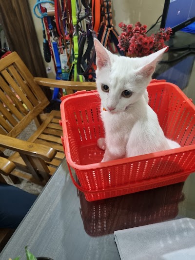 Vet's Best Pet Clinic Dr. Lokkit