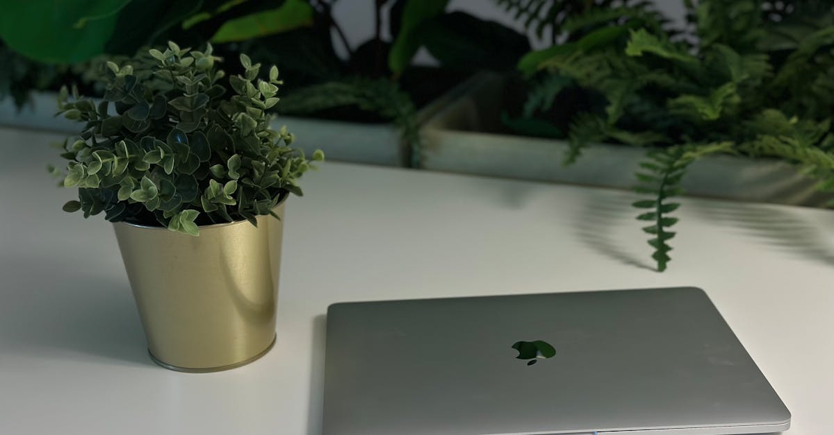 Leading 10 Tech Startups in Chennai