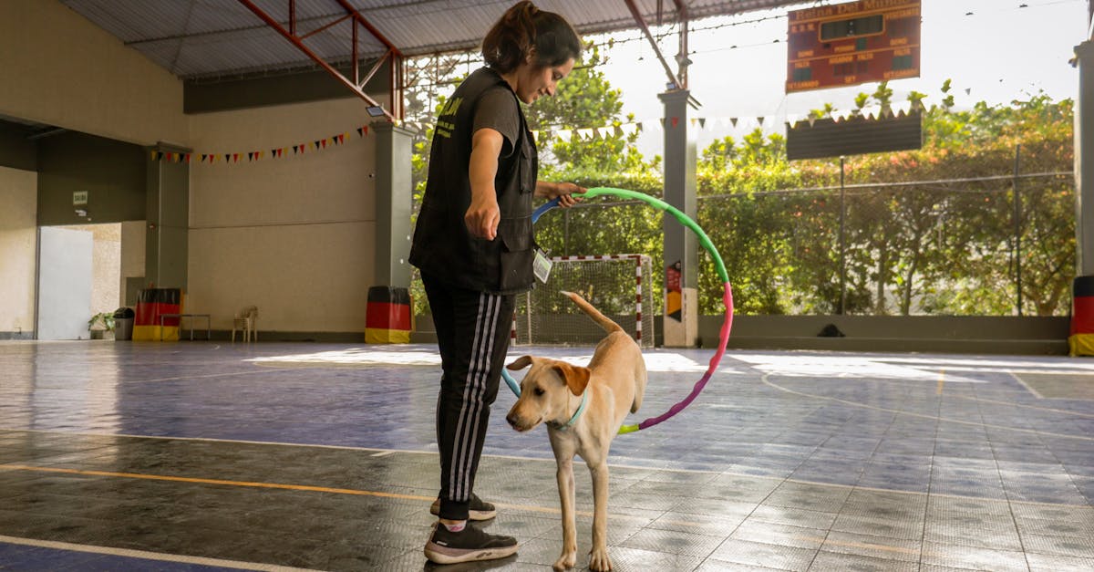 Best Dog Trainers in Delhi