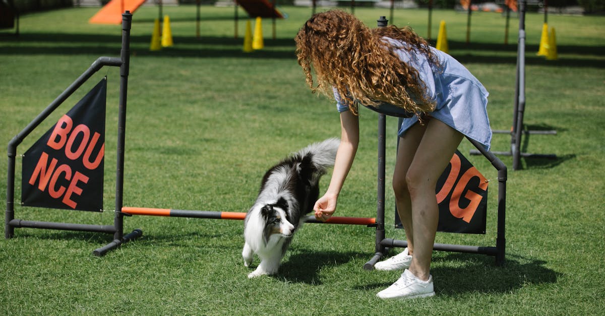 Highly Rated Dog Trainers in Pune