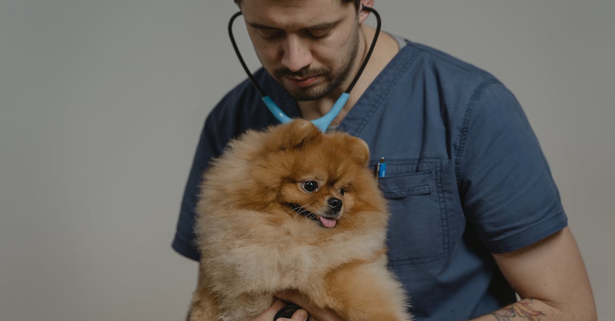 Best Veterinary Clinics in Bangalore