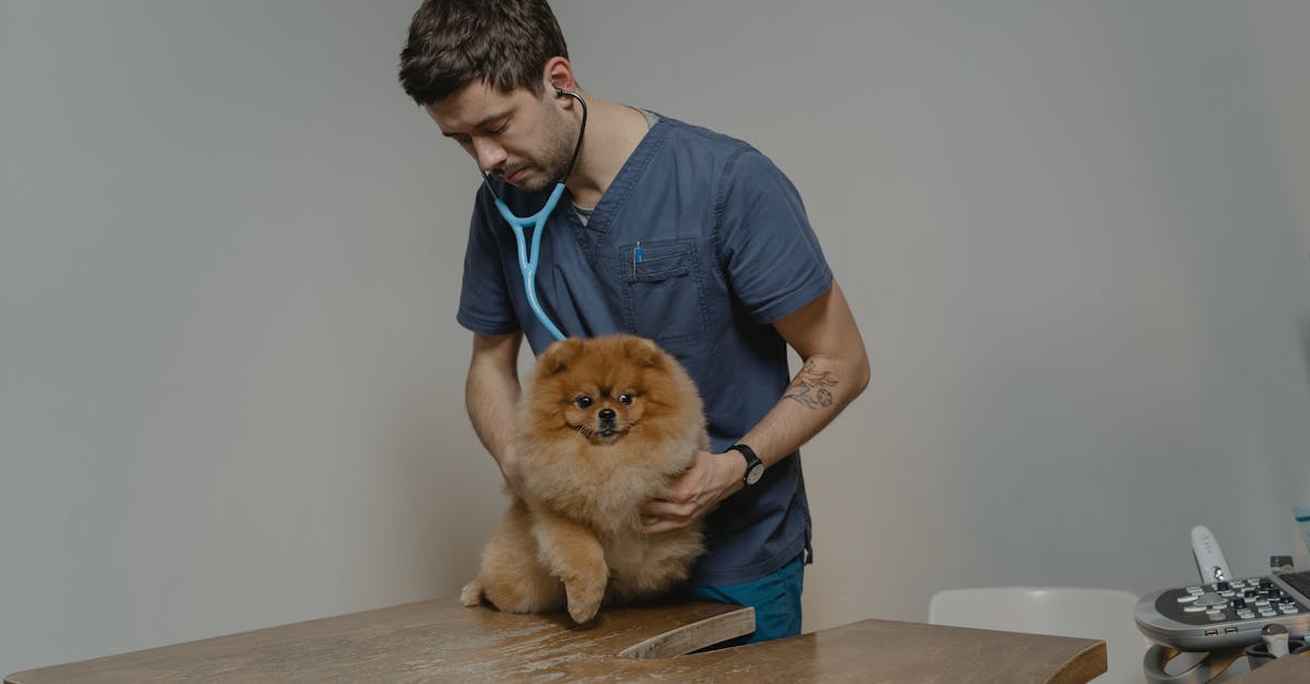 Best Veterinary Clinics in Chennai