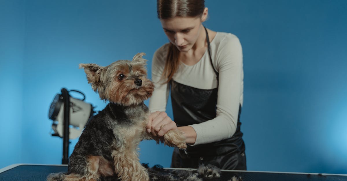Trusted Pet Grooming Salons in Mumbai